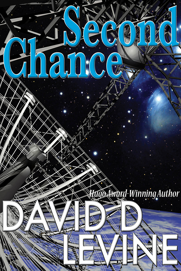 Levine-SecondChance_600x900